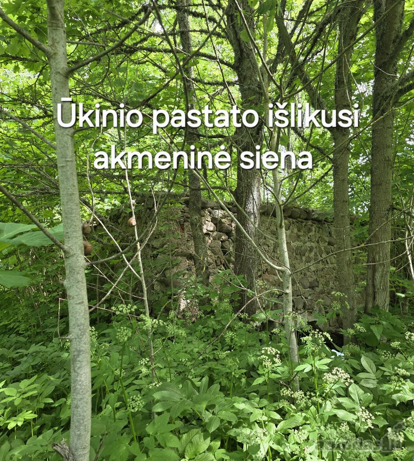Ignalinos rajone, Dūdų kaime, parduodamas - nuotraukos Nr. 18