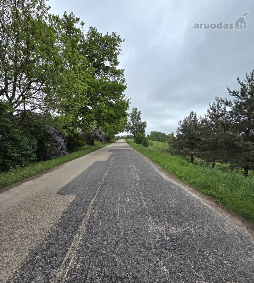 Du dideli kaštonai prie namo tampa tikru šios - nuotraukos Nr. 24