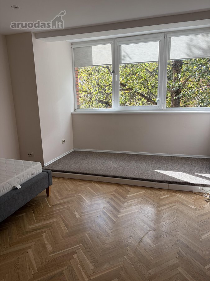 Alytaus m. sav., Alytaus m., Vidzgiris - nuotraukos Nr. 5