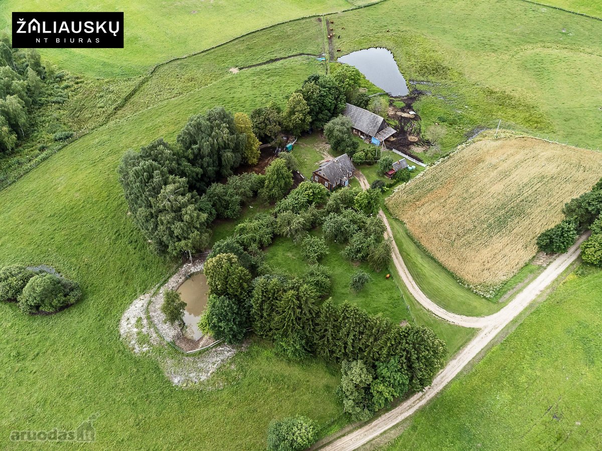 Kviečiame įsigyti unikalią sodybą ramiame ir - nuotraukos Nr. 10