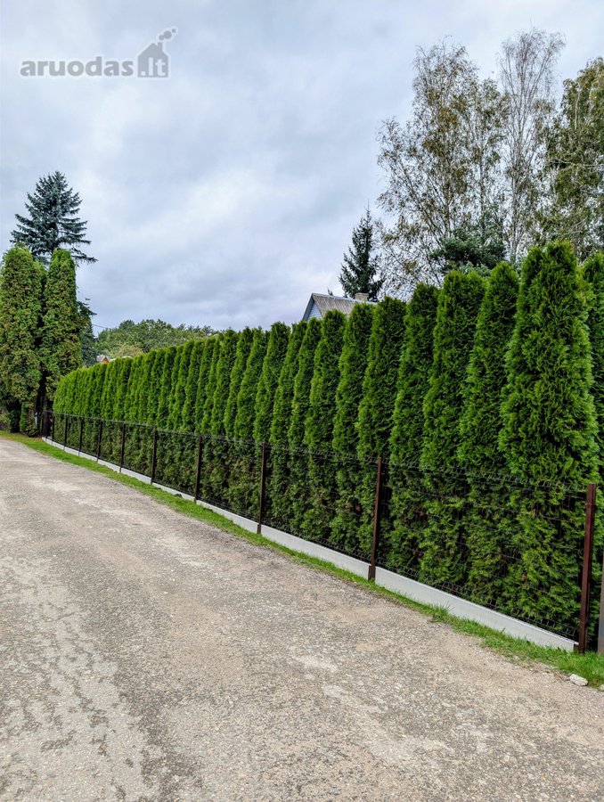 Parduodamas sodas 6,19aro su vasarnamiu - nuotraukos Nr. 2