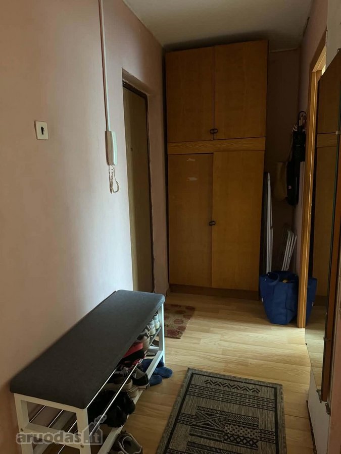 Didlaukio gatvėje merginai nuomojamas vienas - nuotraukos Nr. 11