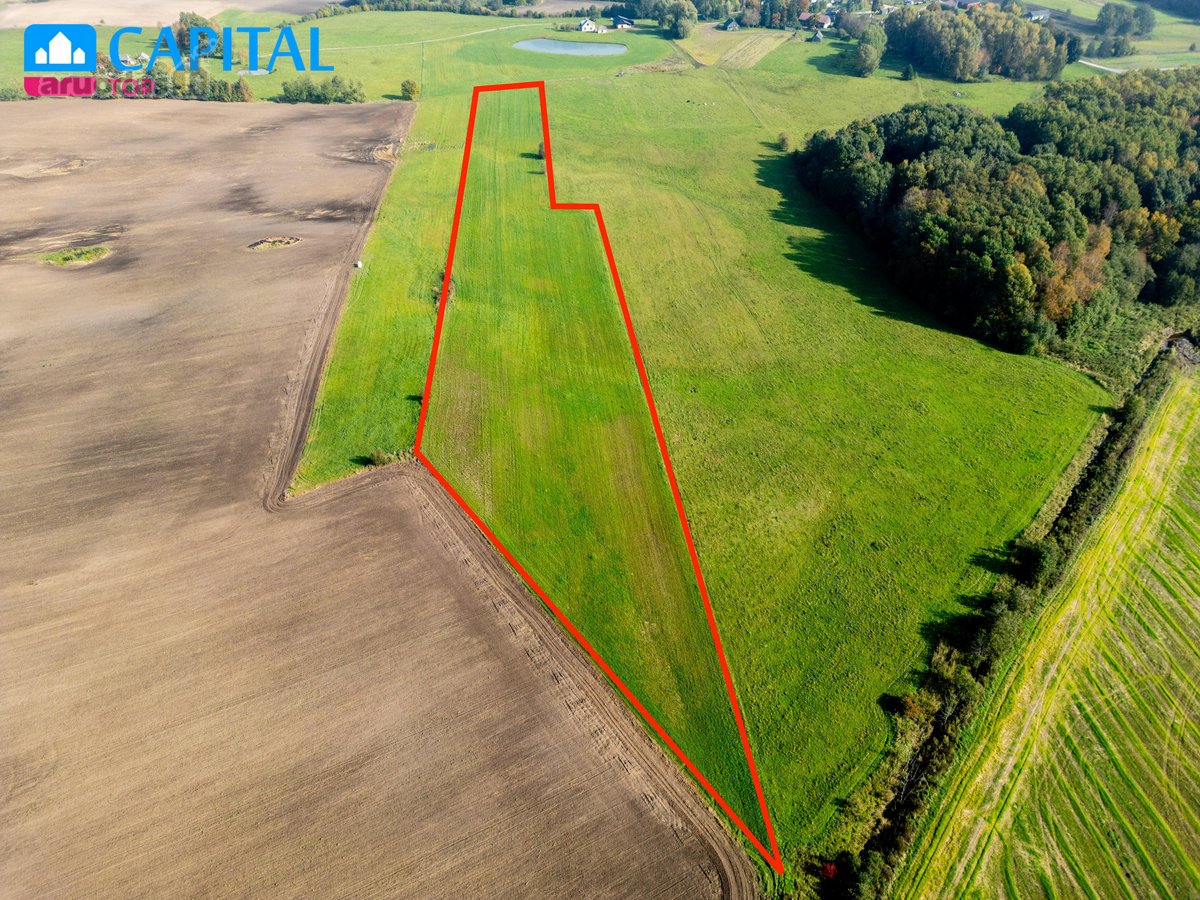 Parduodama prižiūrėta sodyba 3,5 ha sklype - nuotraukos Nr. 8