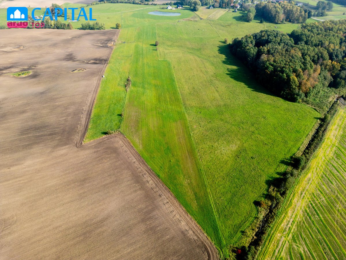 Parduodama prižiūrėta sodyba 3,5 ha sklype - nuotraukos Nr. 9