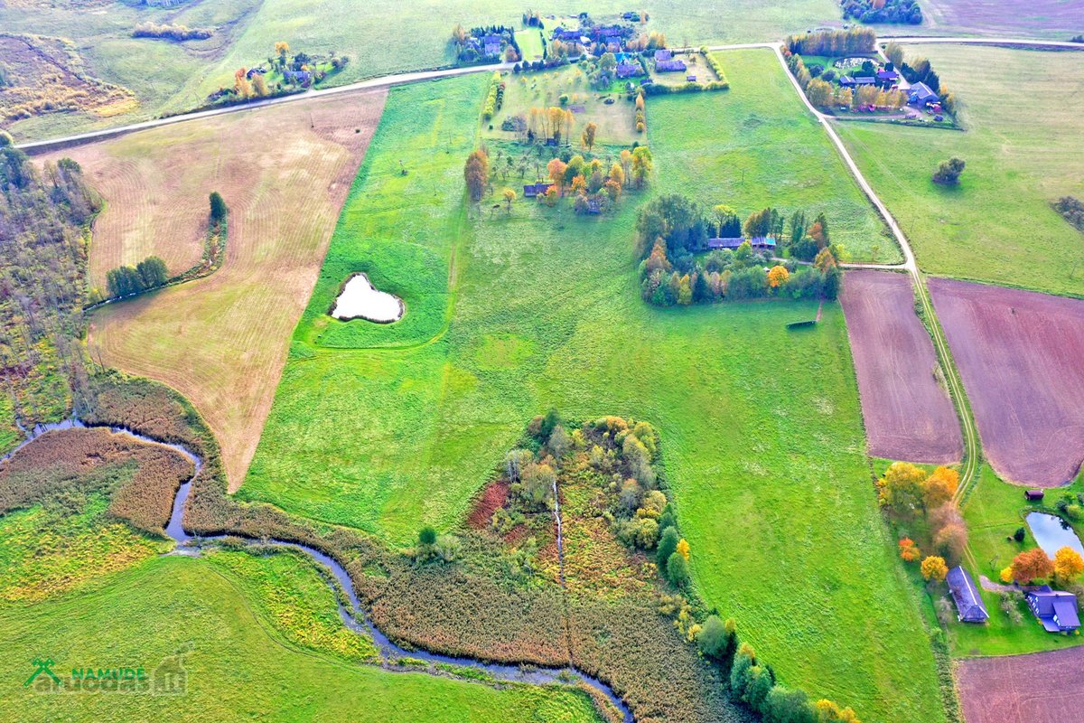 Parduodama išskirtinė, senąja lietuviška - nuotraukos Nr. 6