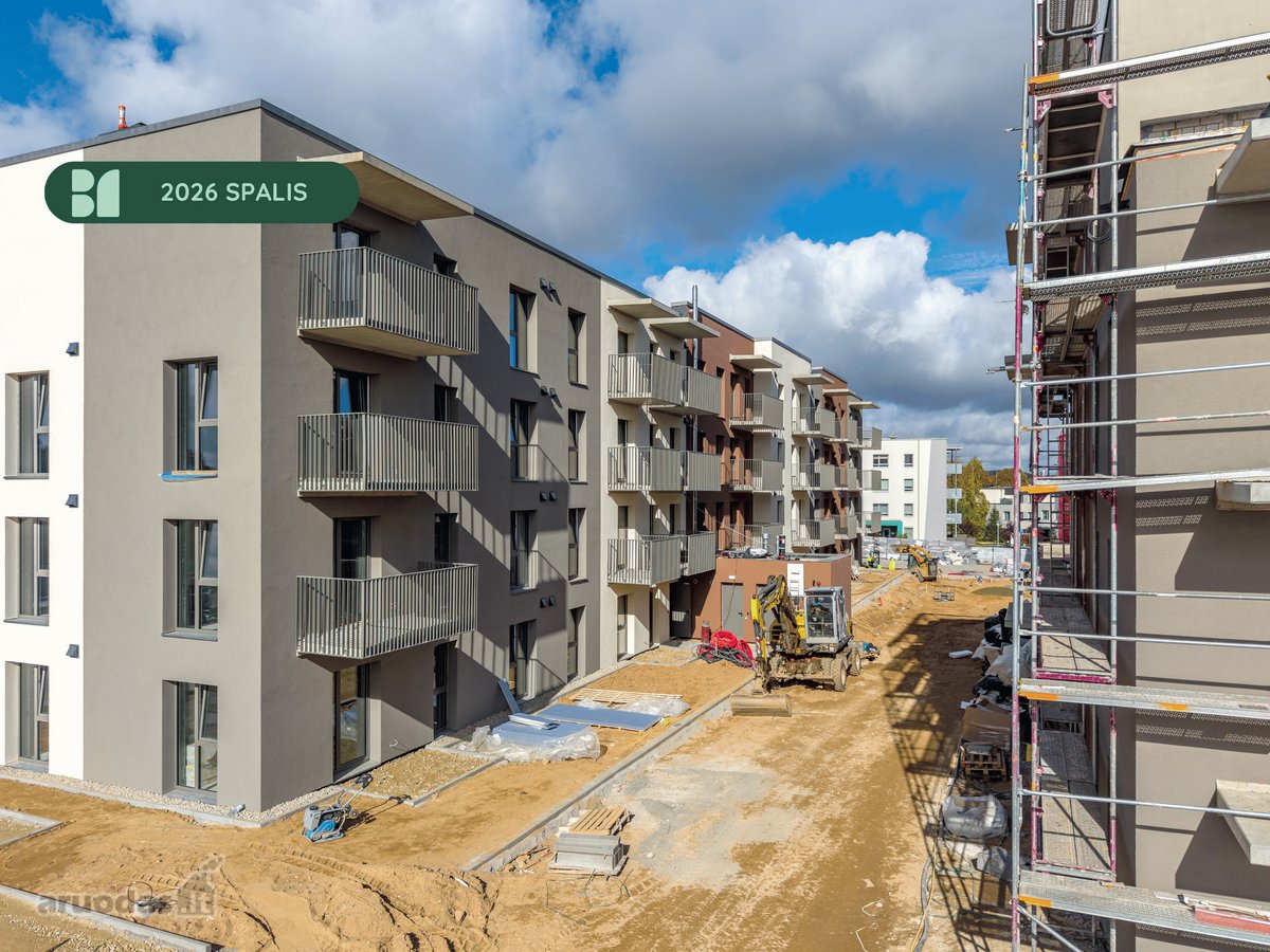Šiuo metu projekte „Bajorų alėjos“ – rudens - nuotraukos Nr. 16