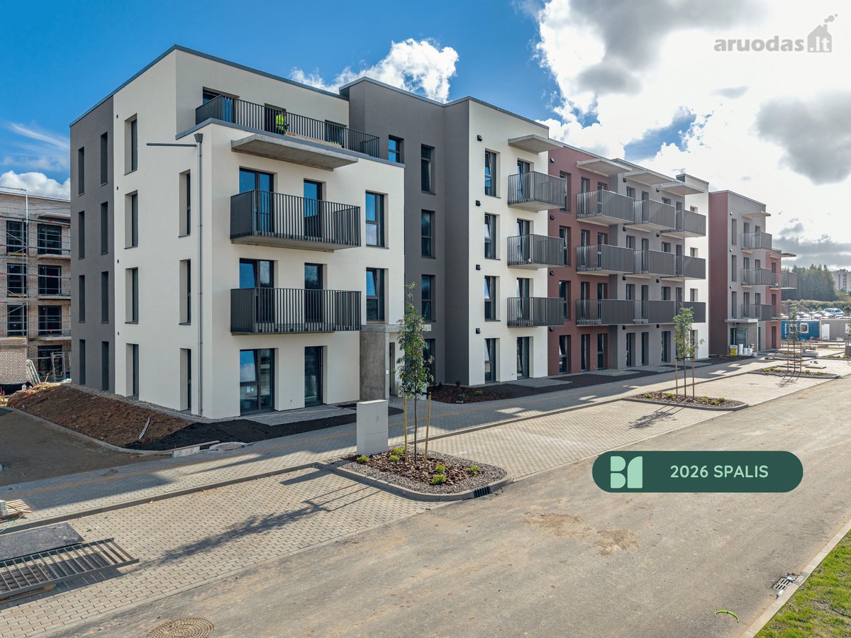 Šiuo metu projekte „Bajorų alėjos“ – rudens - nuotraukos Nr. 7