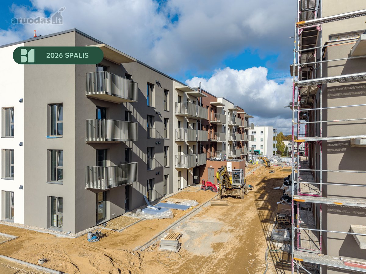 Šiuo metu projekte „Bajorų alėjos“ – rudens - nuotraukos Nr. 14