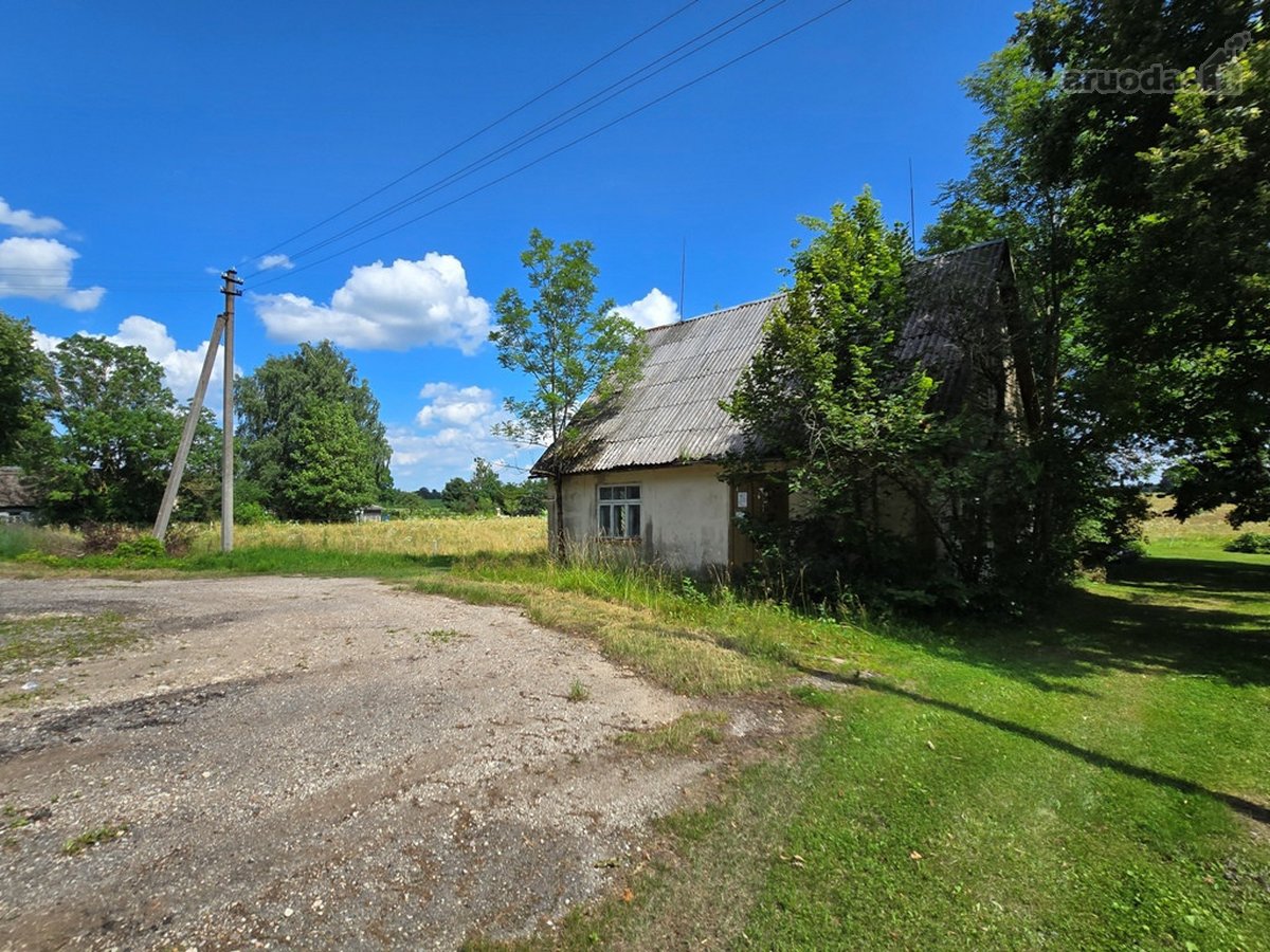 Jaukiame, tvarkingame Maksvyčių kaimelyje, - nuotraukos Nr. 8