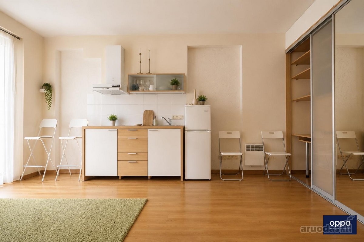 Nuomojamas tvarkingas ir pilnai įrengtas 40 - nuotraukos Nr. 4