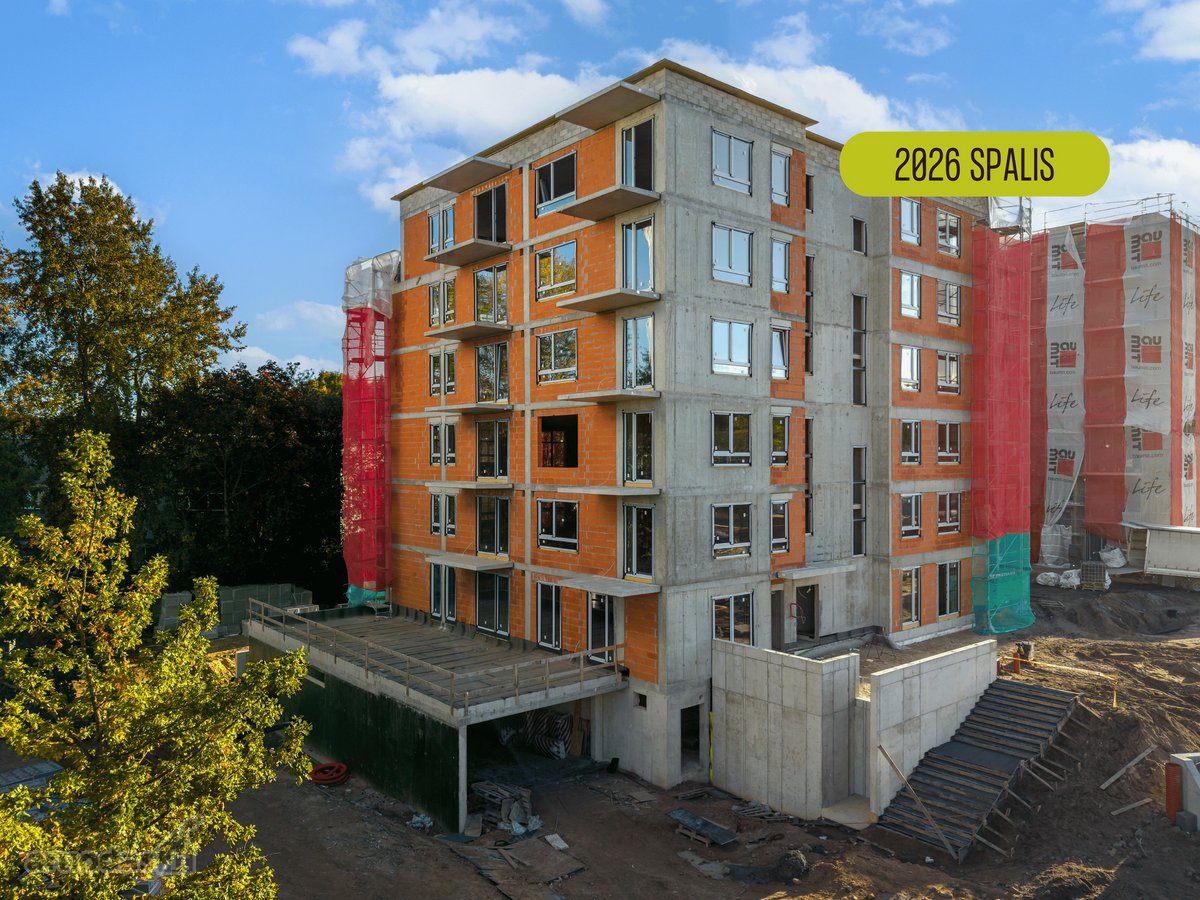Projektas „Miško sprintas“ – tai namai, - nuotraukos Nr. 11