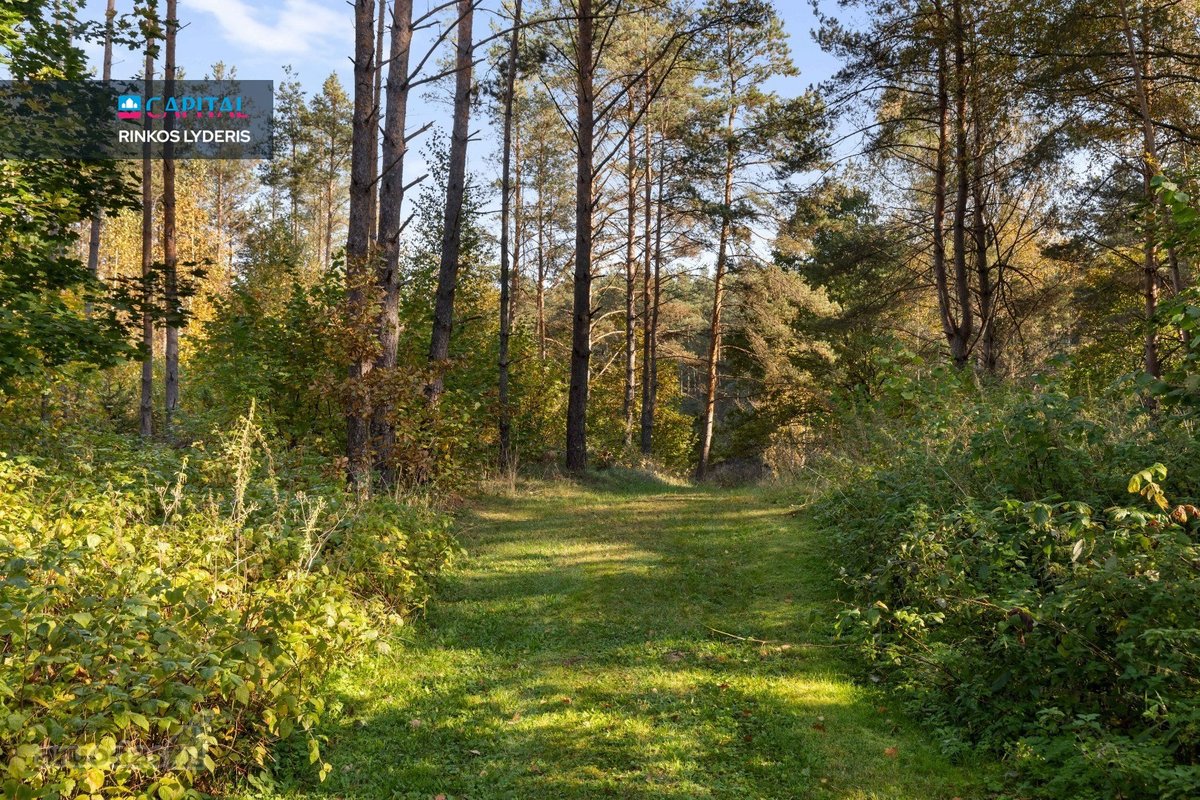 Parduodama Sodyba Su Dviem Gretimais Sklypais - nuotraukos Nr. 11