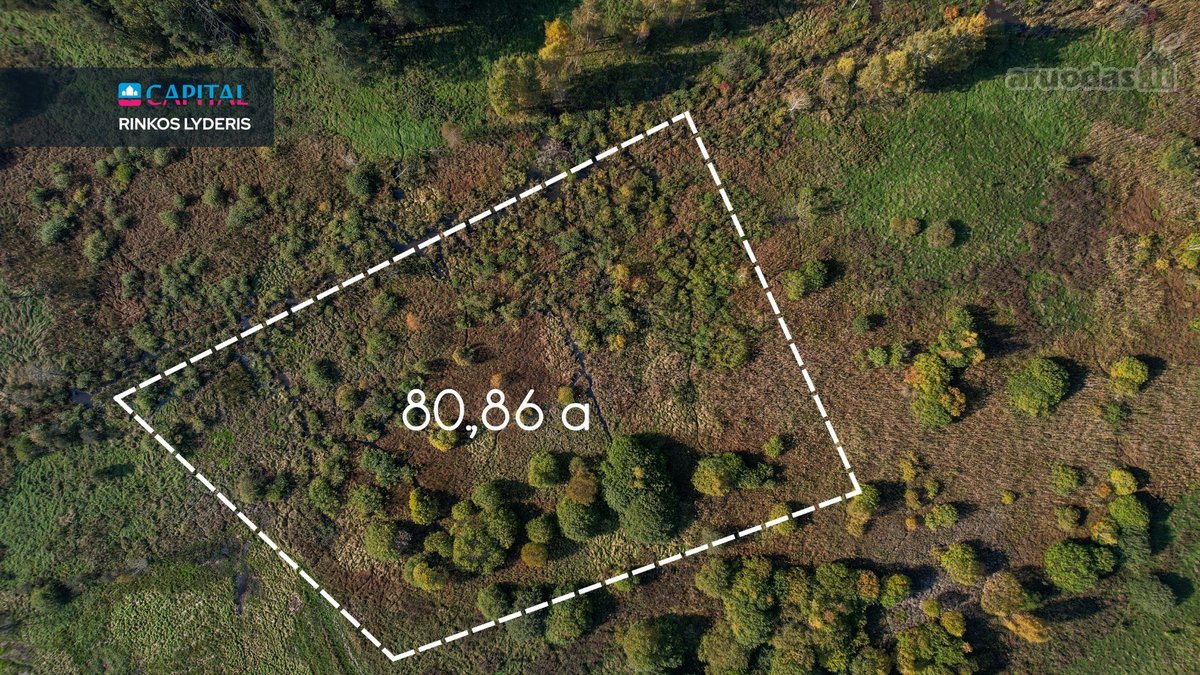 Parduodamas 80,86 arų sklypas Zujūnų sen., - nuotraukos Nr. 3