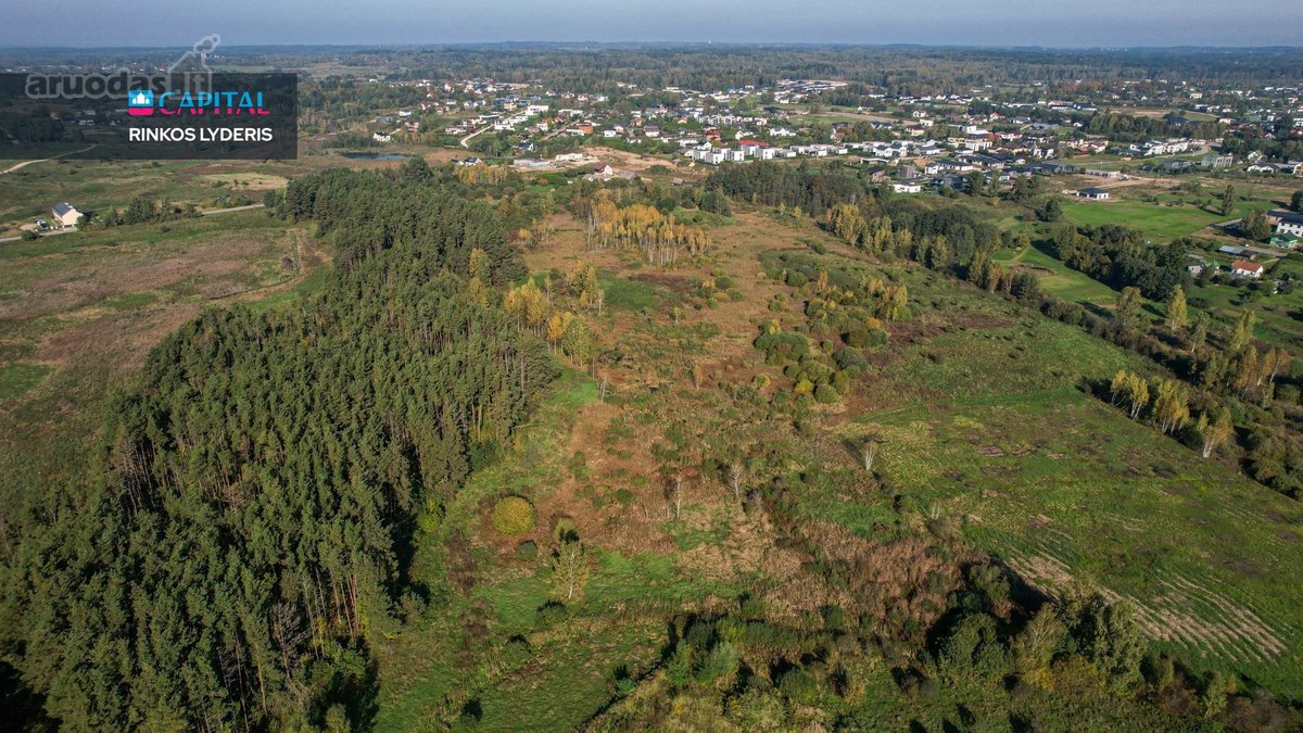 Parduodamas 80,86 arų sklypas Zujūnų sen., - nuotraukos Nr. 6