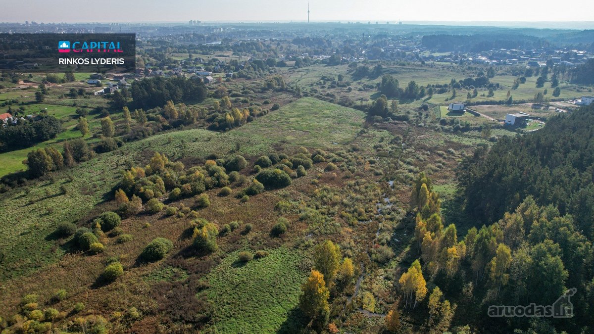Parduodamas 80,86 arų sklypas Zujūnų sen., - nuotraukos Nr. 11