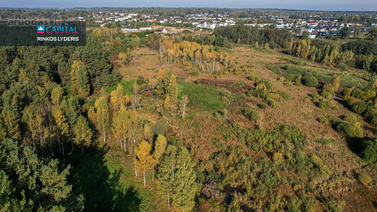 Parduodamas 80,86 arų sklypas Zujūnų sen., - nuotraukos Nr. 12