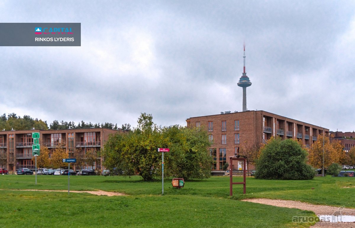 Nuomojamas Erdvus 3 Kambarių Butas Su - nuotraukos Nr. 36