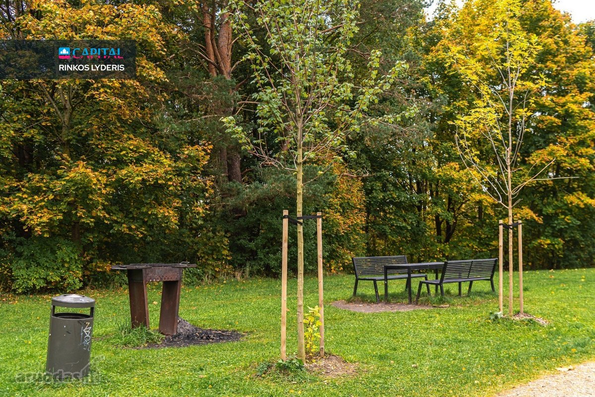 Nuomojamas Erdvus 3 Kambarių Butas Su - nuotraukos Nr. 38