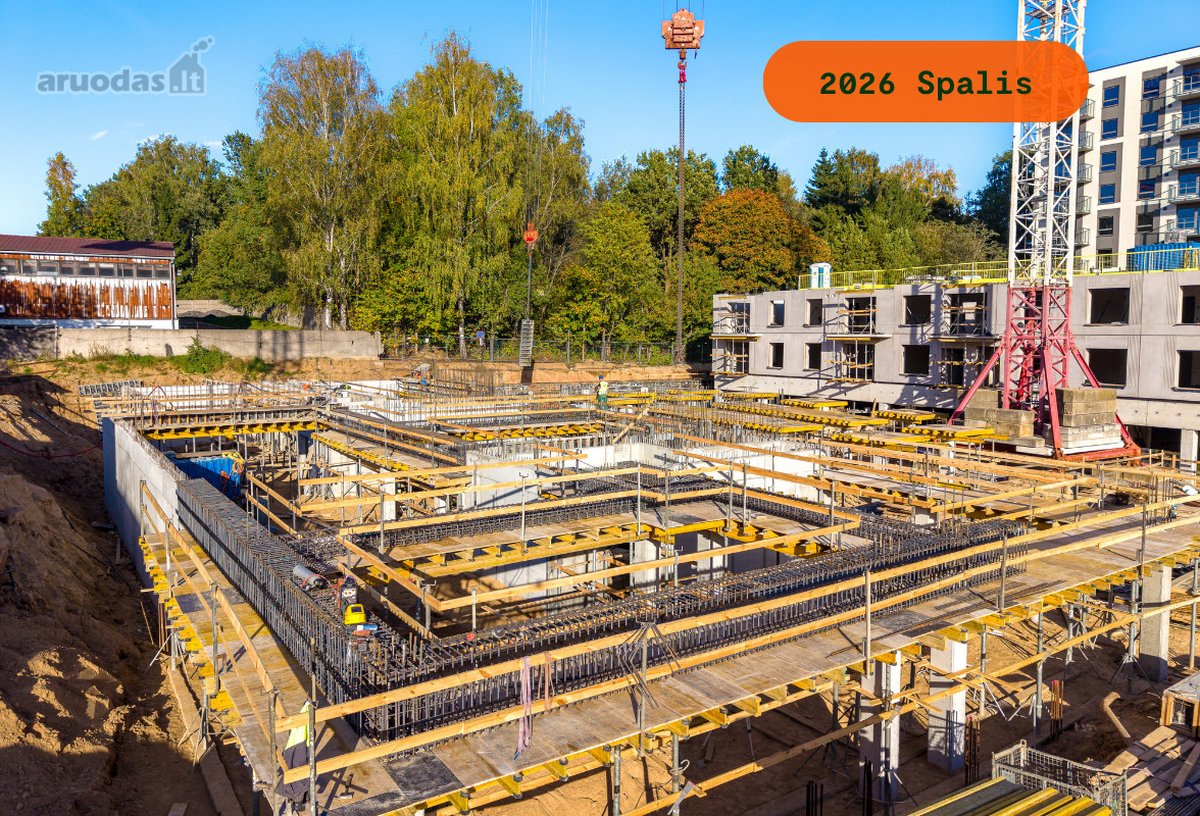 Perkamiausiame pastarųjų metų projekte Metų - nuotraukos Nr. 38