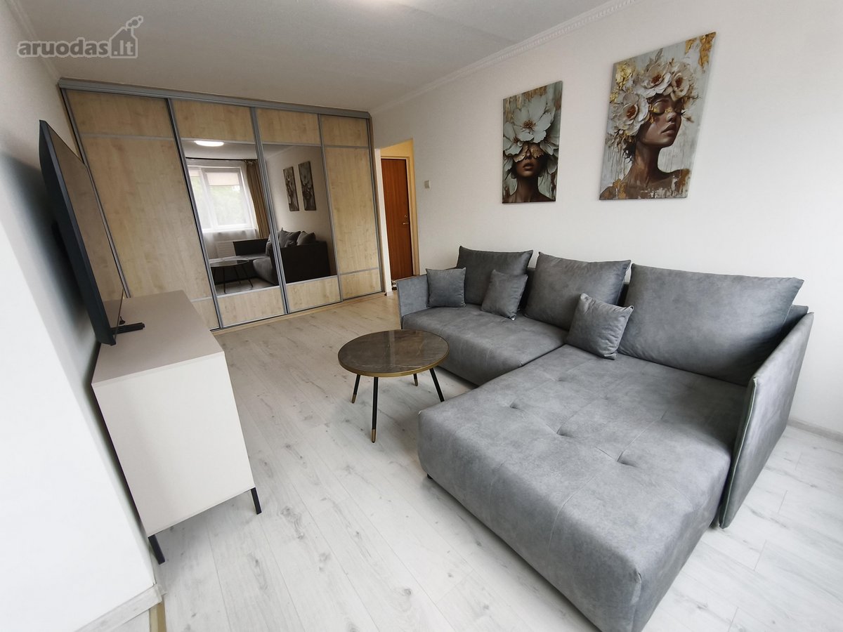 Parduodamas tvarkingas ir jaukus 40,44 m² - nuotraukos Nr. 2