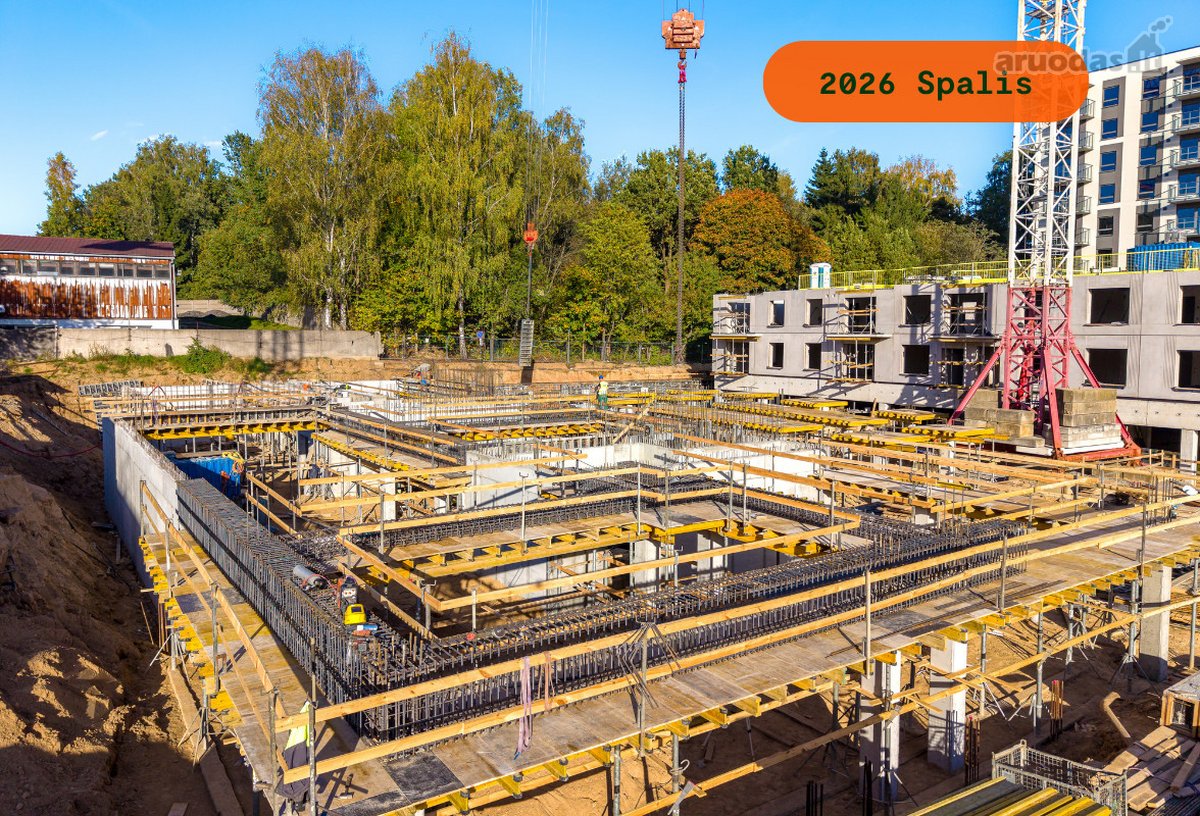 Perkamiausiame pastarųjų metų projekte Metų - nuotraukos Nr. 31