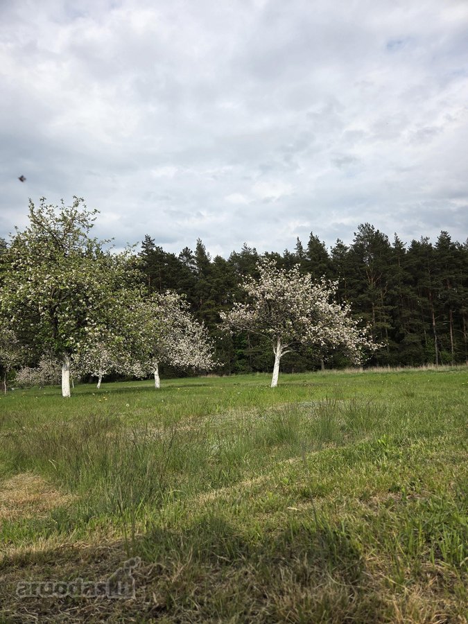 Vilniaus r. sav., Kalvelių k. - nuotraukos Nr. 29
