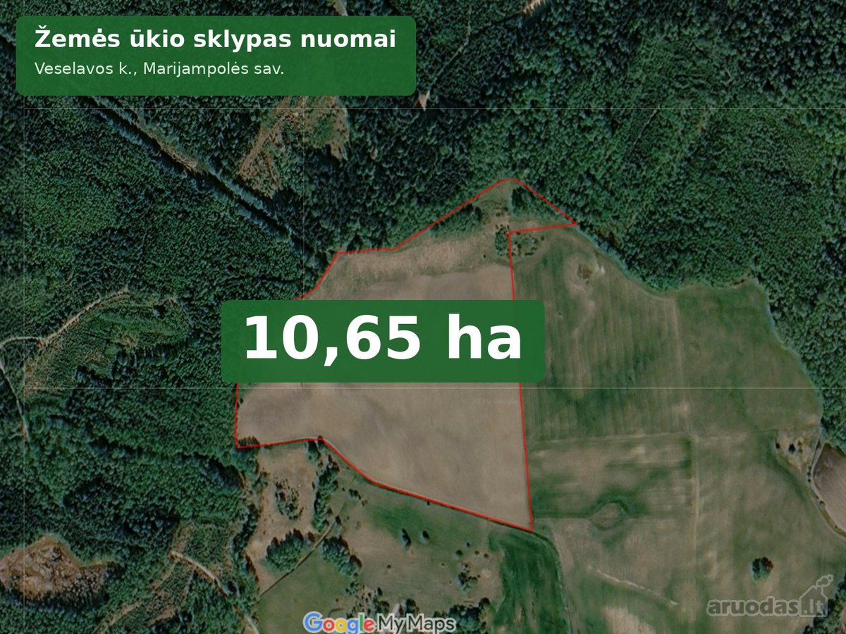 Nuomojamas  žemės ūkio paskirties sklypas - nuotraukos Nr. 2