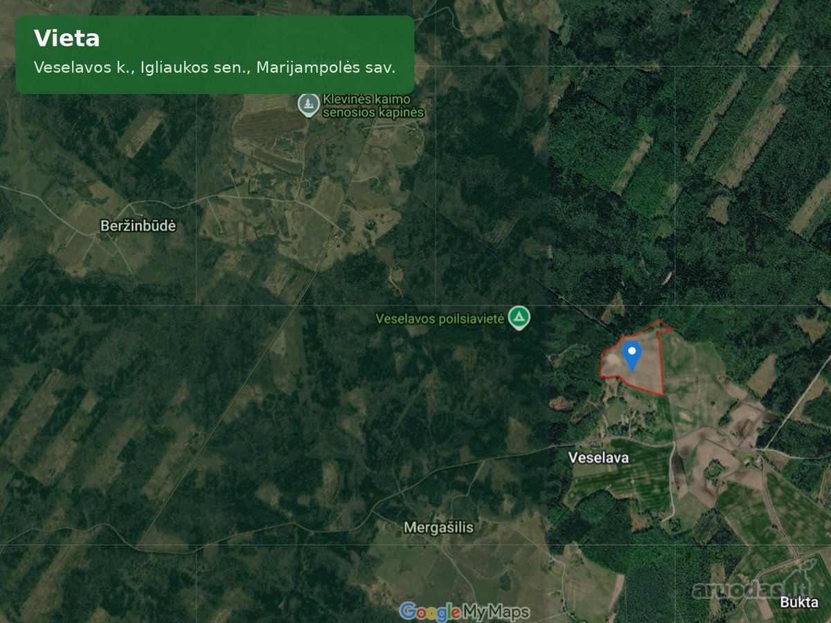 Nuomojamas  žemės ūkio paskirties sklypas - nuotraukos Nr. 4