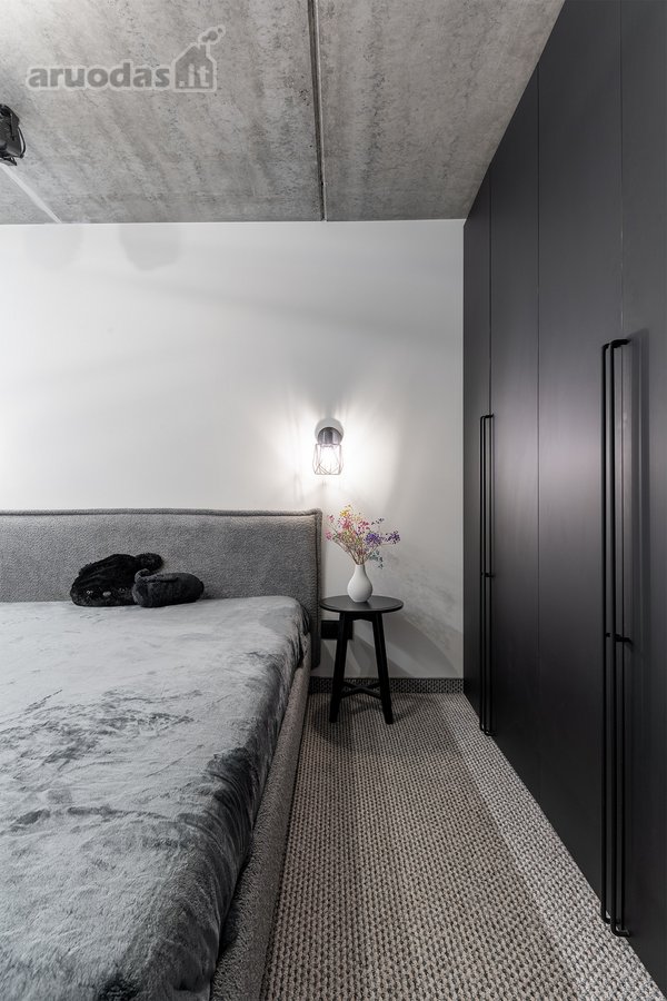 Loftas su antresole ir balkonu, Geležinio - nuotraukos Nr. 12