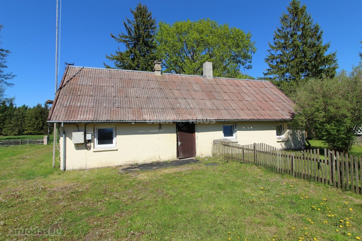 Išskirtinė Vieta Medžių Apsuptyje, 450 m Iki - nuotraukos Nr. 2