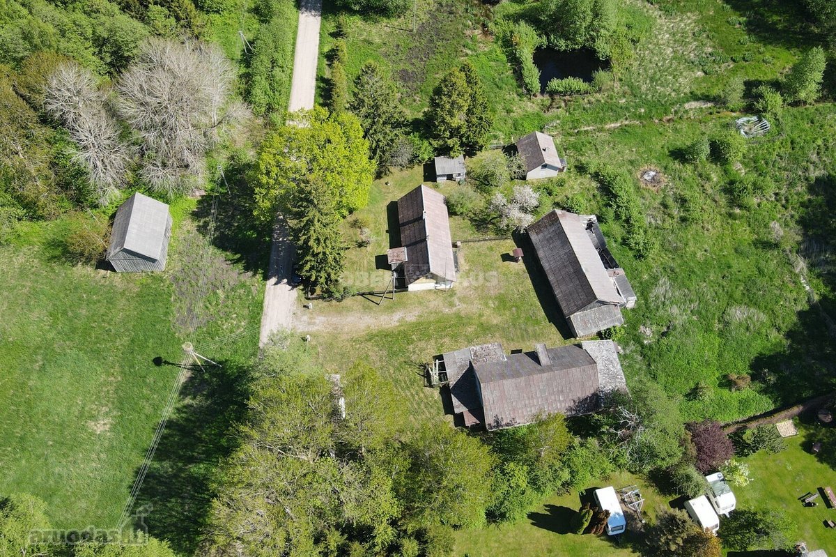 Išskirtinė Vieta Medžių Apsuptyje, 450 m Iki - nuotraukos Nr. 5