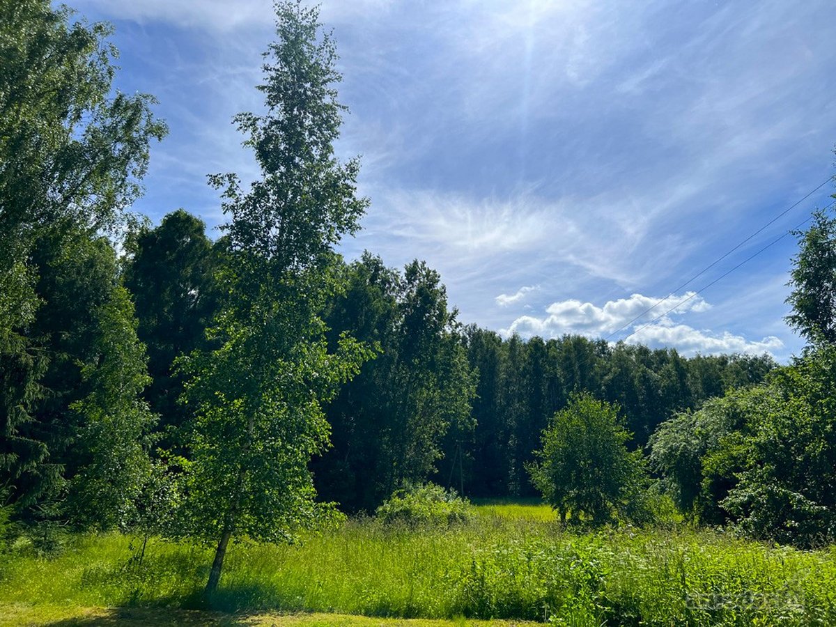 Ilgaamžių Medžių Apsupty Parduodamas - nuotraukos Nr. 25