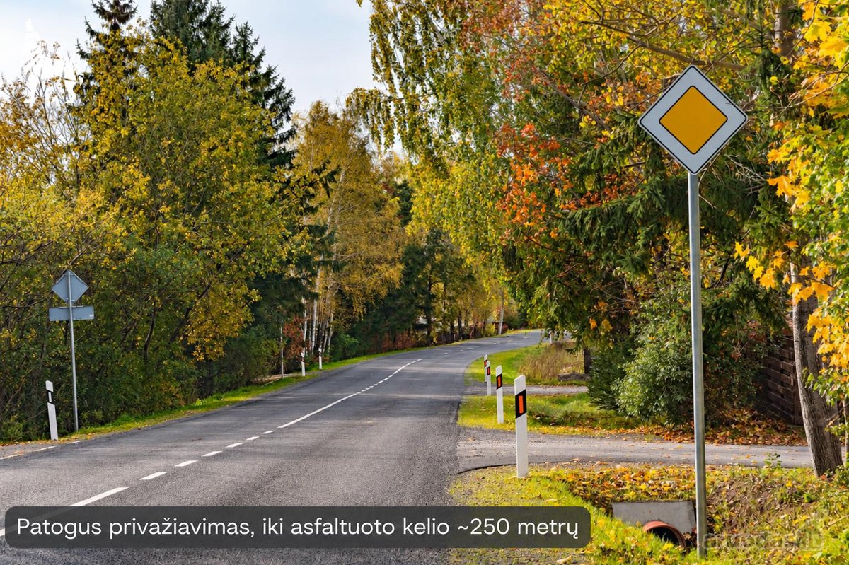 Pavadinimas - nuotraukos Nr. 16