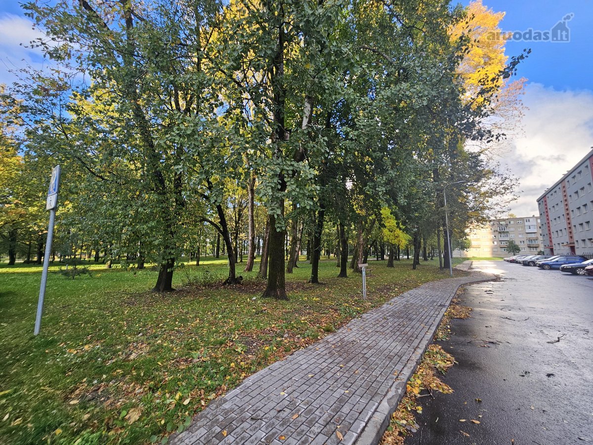 Išnuomojamas jaukus, tvarkingas, šiltas, - nuotraukos Nr. 10