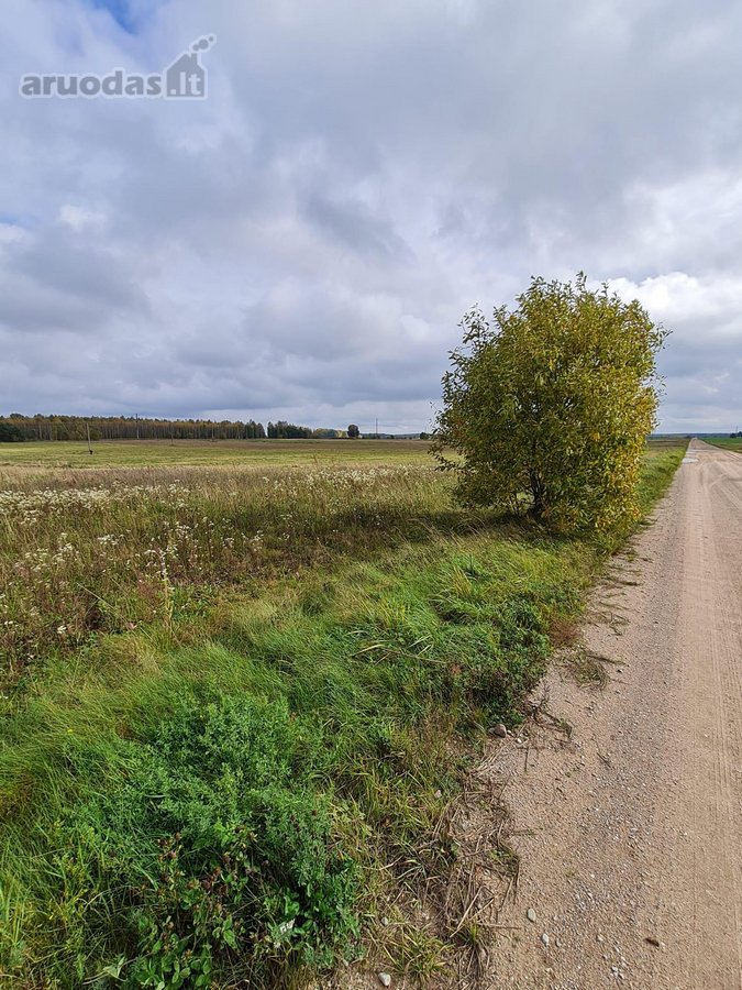Šalčininkų R. , Keidžių Kaime , - nuotraukos Nr. 7