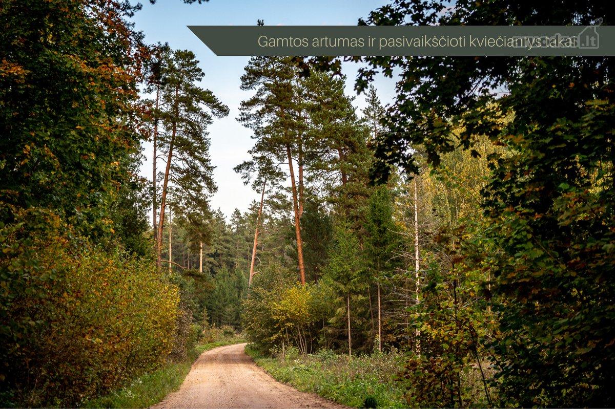 Pilialaukio Šilas – Apgalvotai Kurtas - nuotraukos Nr. 37