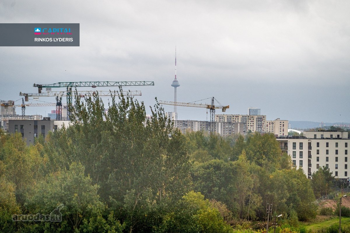 Išskirtinės Architektūros Ir Skoningo - nuotraukos Nr. 28