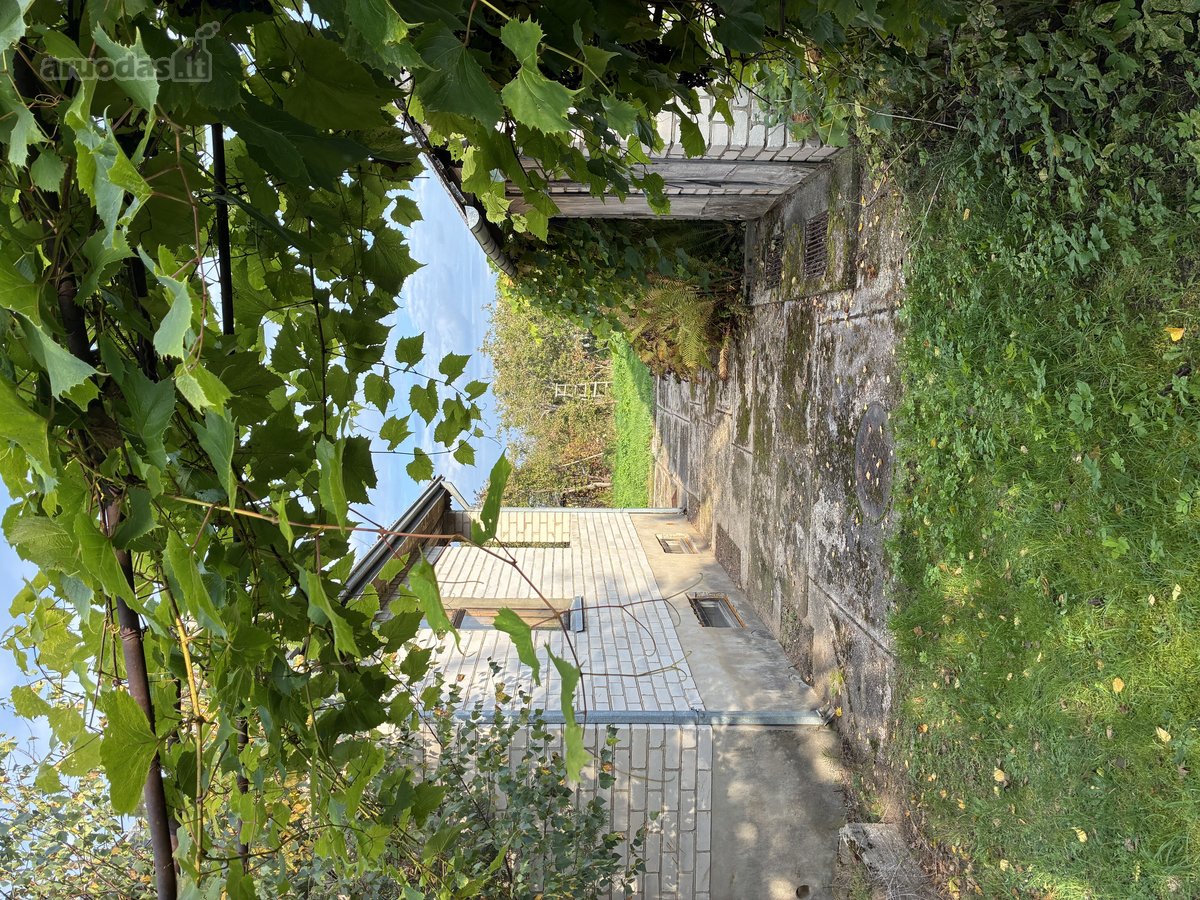 Ieškote ramybės, gamtos ir vietos, kurią - nuotraukos Nr. 11