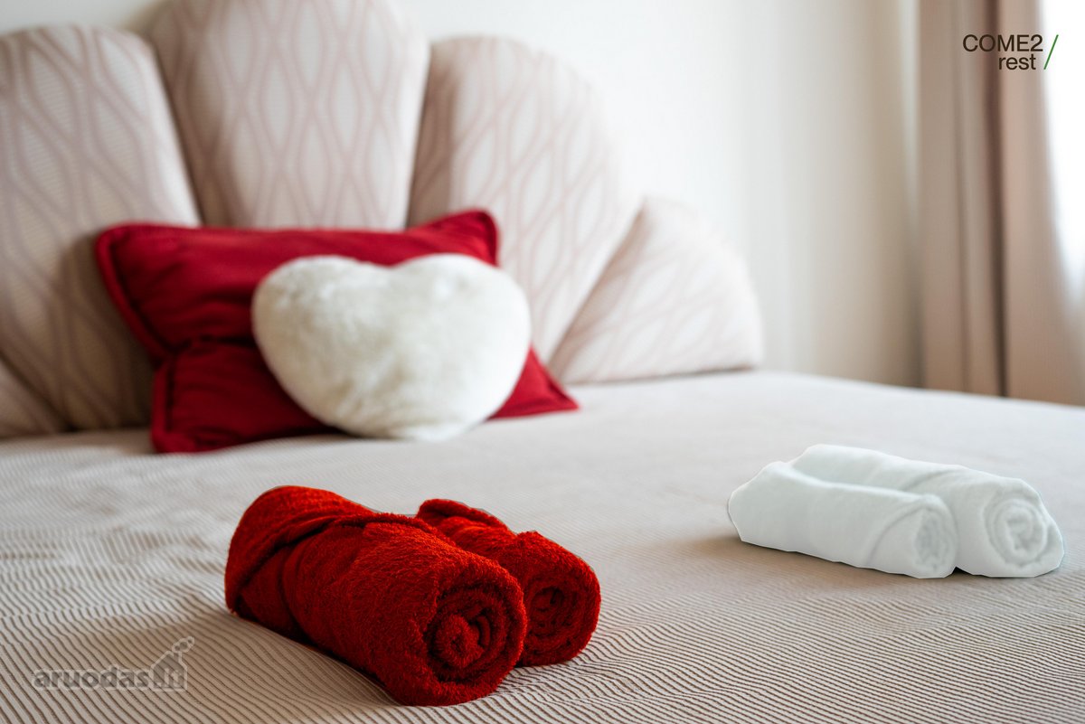 Išnuomojamas 2 kambarių butas prestižinėje - nuotraukos Nr. 3