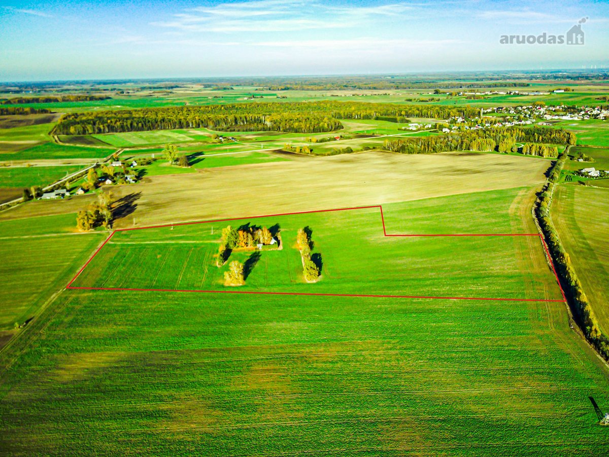 Parduodama sodyba - vienkiemis Bardiškėlių k. - nuotraukos Nr. 21