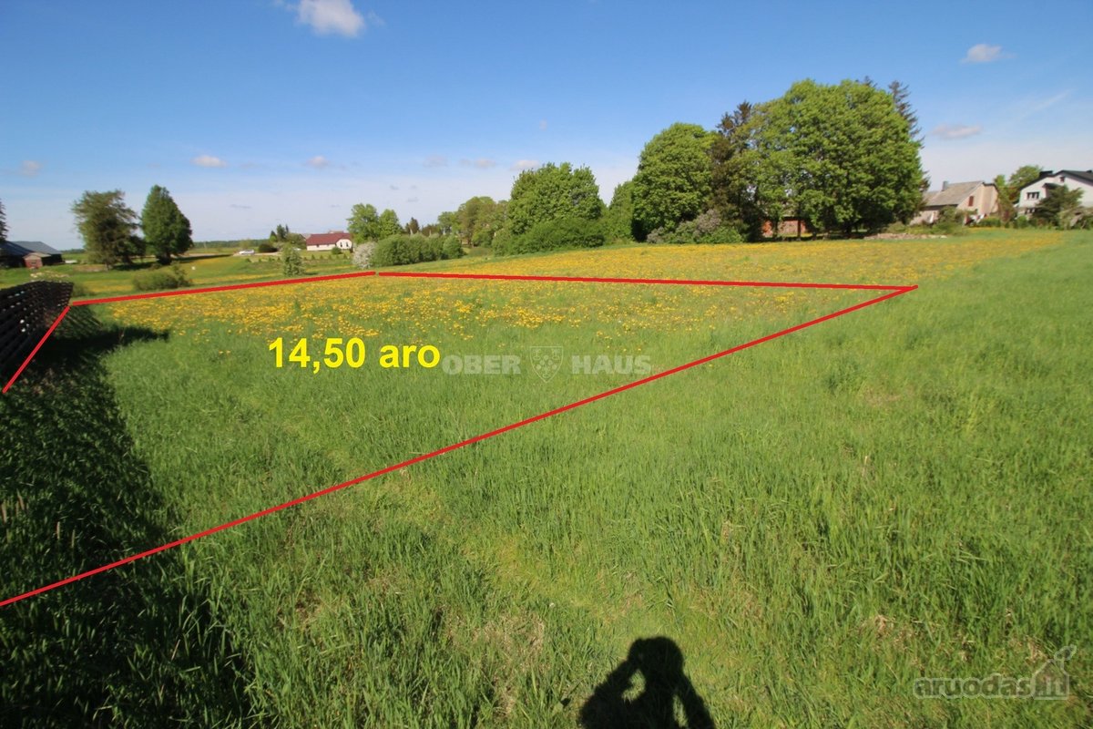 Parduodami du sklypai Vėžaičių miestelyje, - nuotraukos Nr. 13