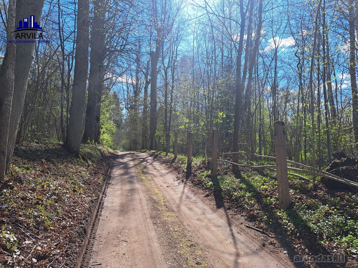 Parduodamas sklypas šalia Nemenčinės - nuotraukos Nr. 10