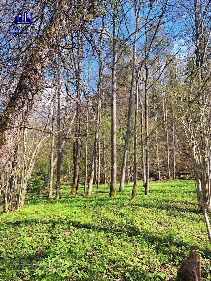 Parduodamas sklypas šalia Nemenčinės - nuotraukos Nr. 15