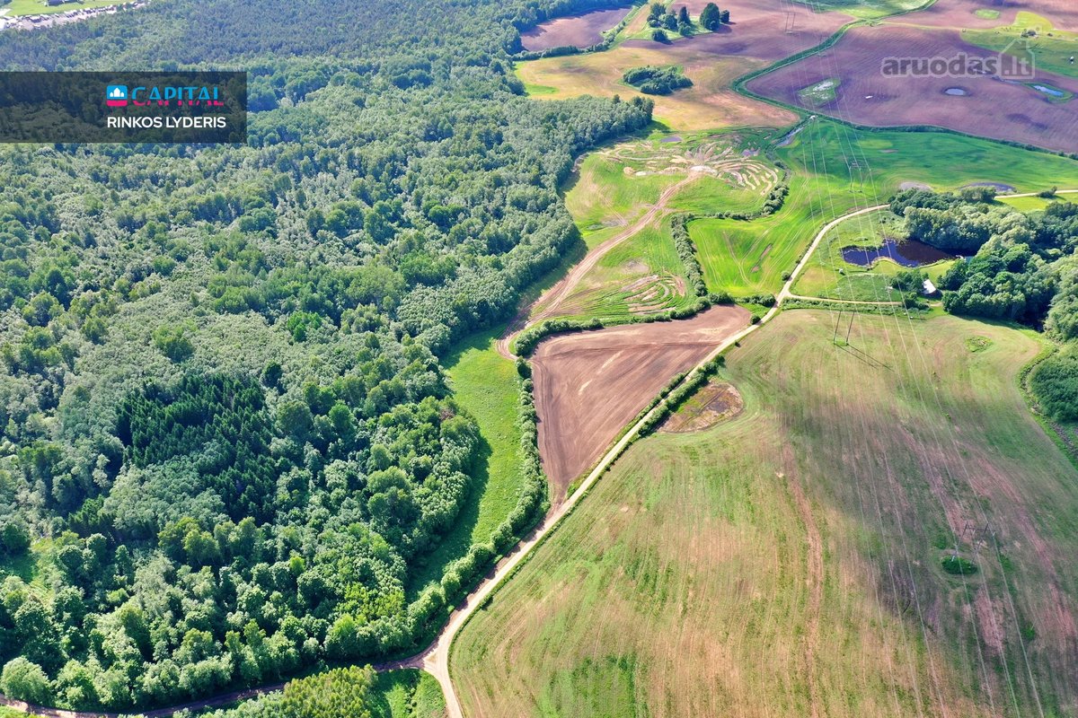 Parduodamas 165 Arų Sklypas, Unikalioje - nuotraukos Nr. 12
