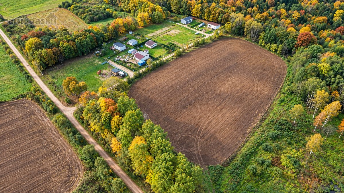 Parduodami 2 Žemės Sklypai Miškų Apsuptyje! - nuotraukos Nr. 6