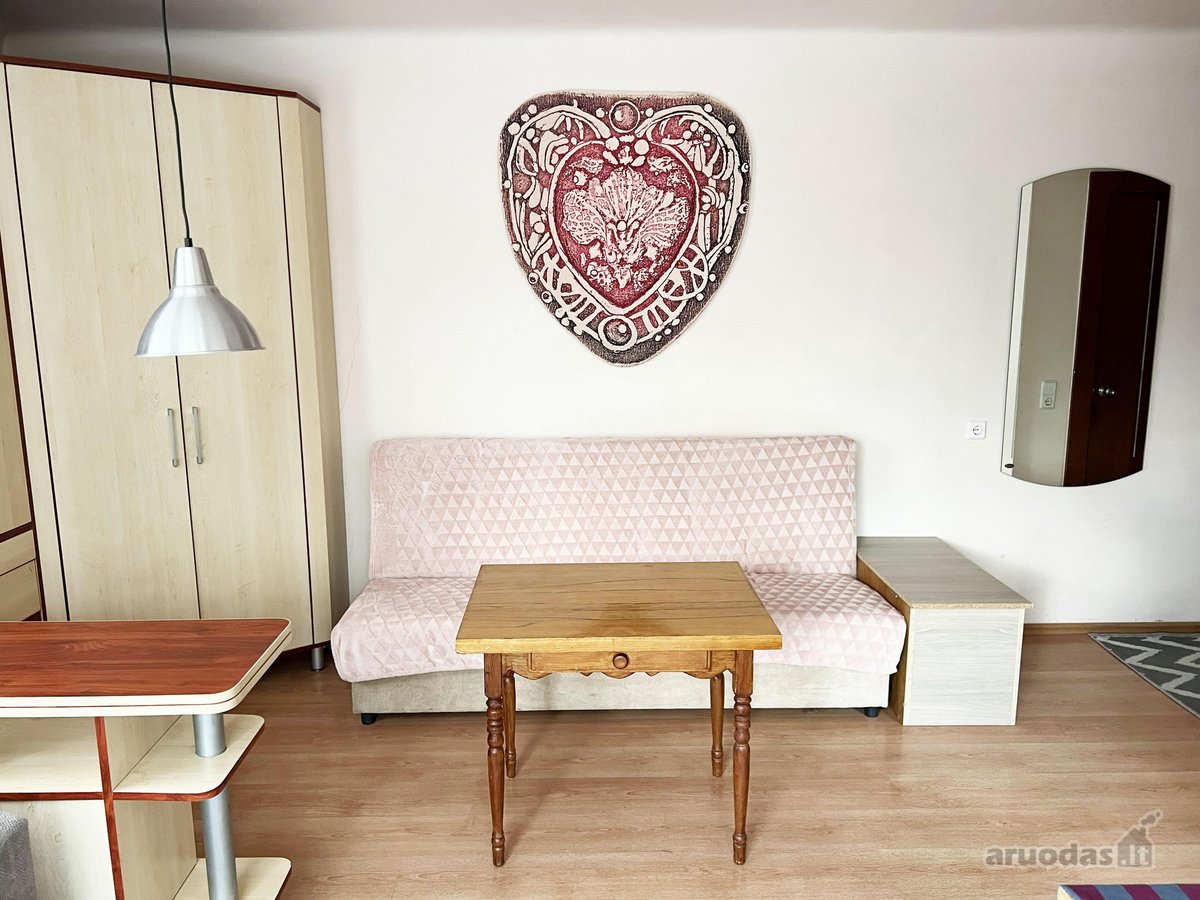 Išnuomojamas šviesus ir jaukus 1 kambario - nuotraukos Nr. 8