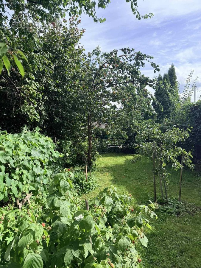 Parduodami Du Gyvenamieji Namai Mieste – 78 000 € - nuotraukos Nr. 10