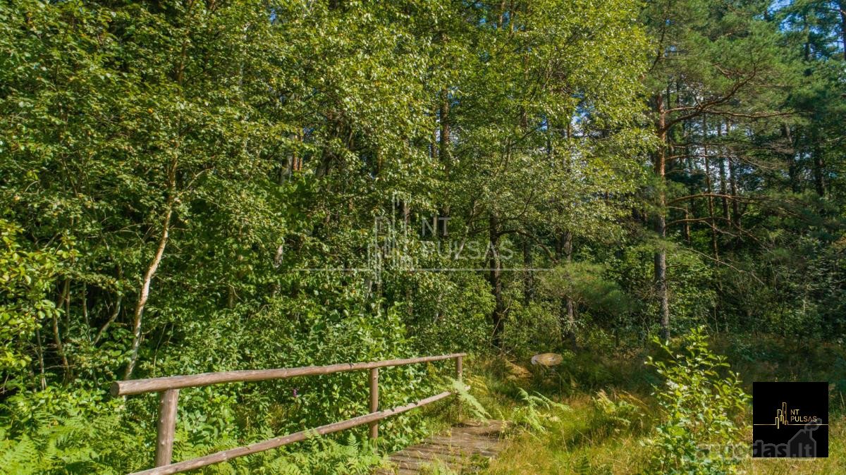 Parduodamas 20 a. sklypas – unikali vieta - nuotraukos Nr. 4