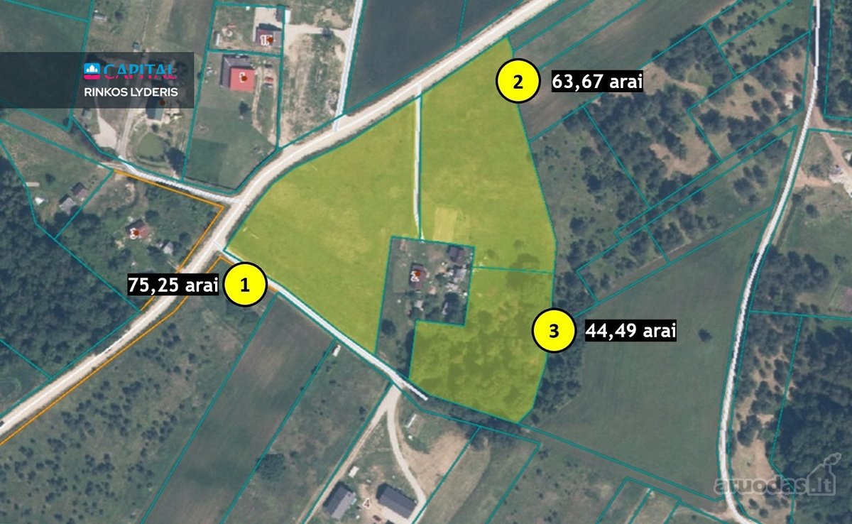„Pirkite žemę – jos daugiau niekas nebegamina - nuotraukos Nr. 9