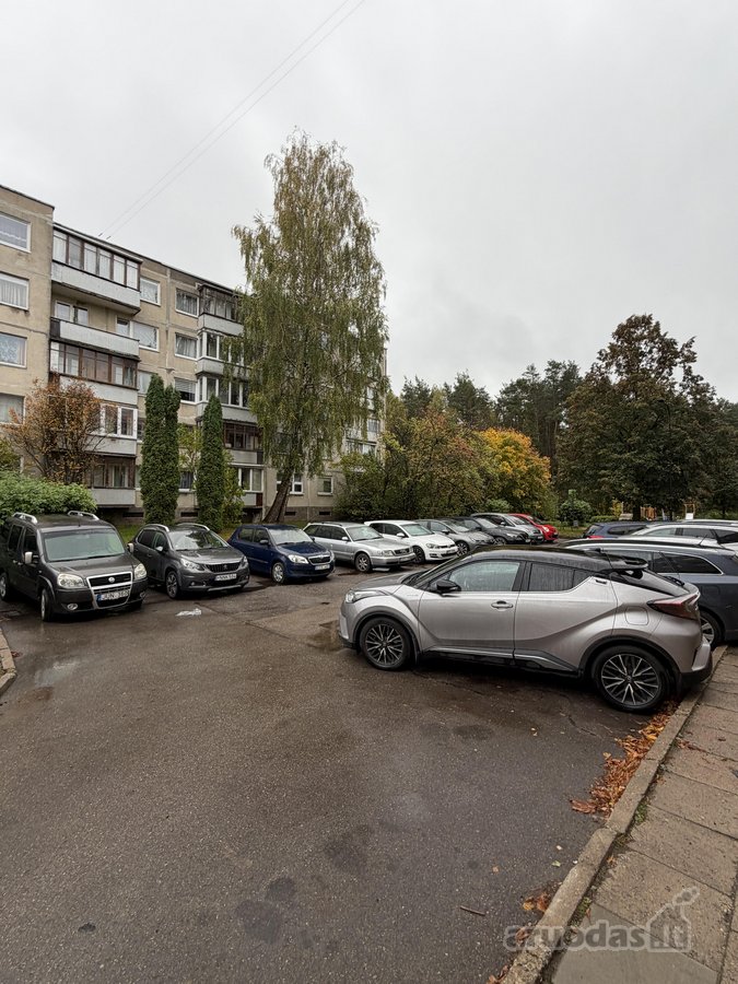 *Butas tvarkingas ir jaukus, nuomojamas su - nuotraukos Nr. 17